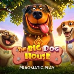 The Big Dog House