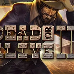 Dead or Alive 2 slot game